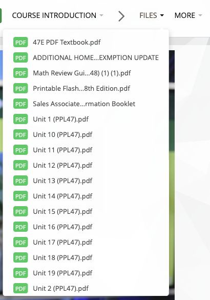 Files menu inside a Learn lesson showing downloadable course resources.